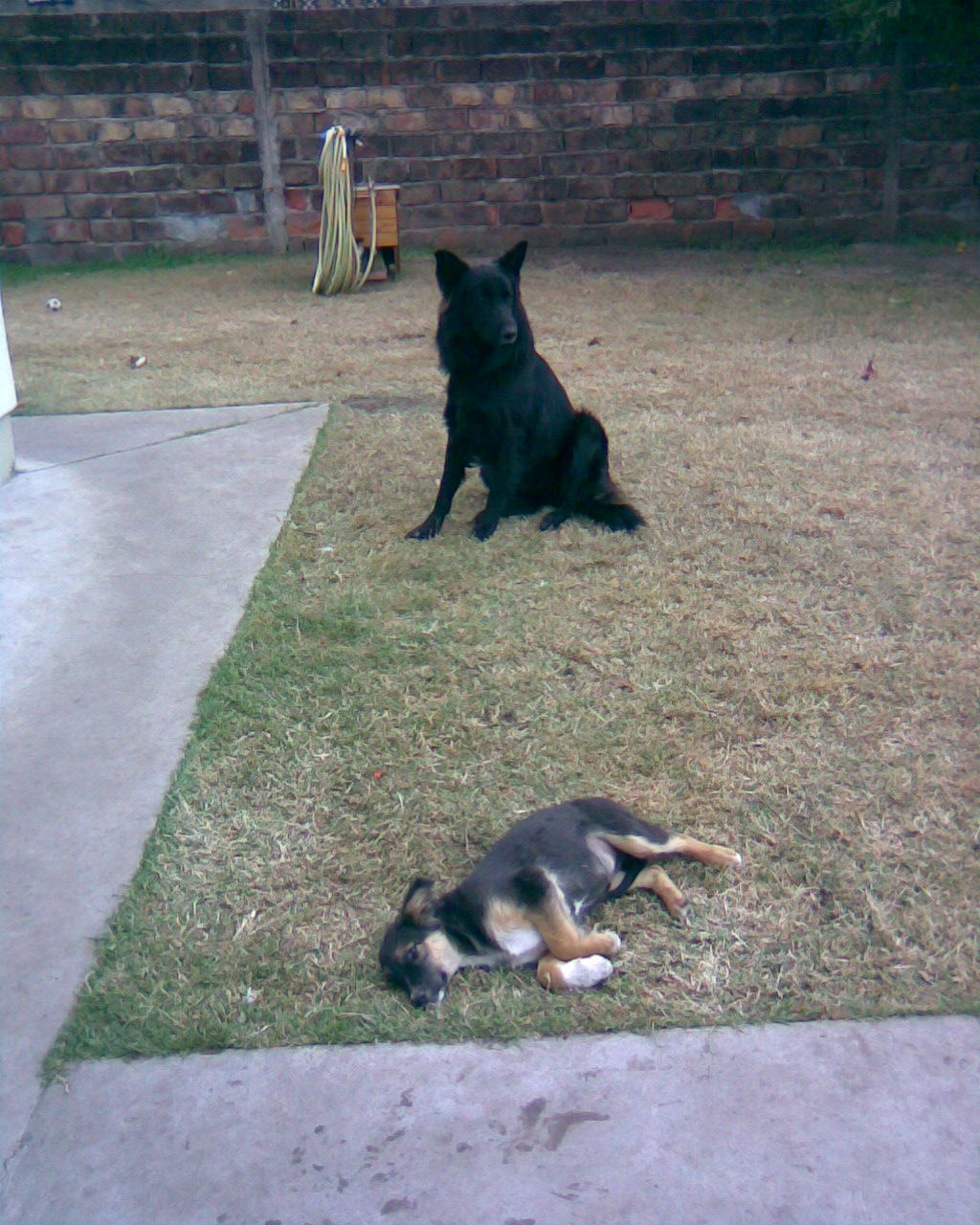 fotos/0000-00-00 - Infancia/Imagen035.jpg